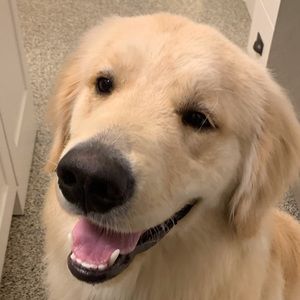 Meet your Posher, Tim